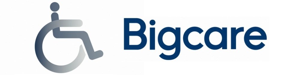 Bigcare logo